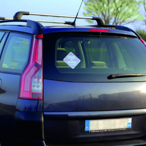 BEBE A BORD / BABY ON BOARD - SAFETY FIRST